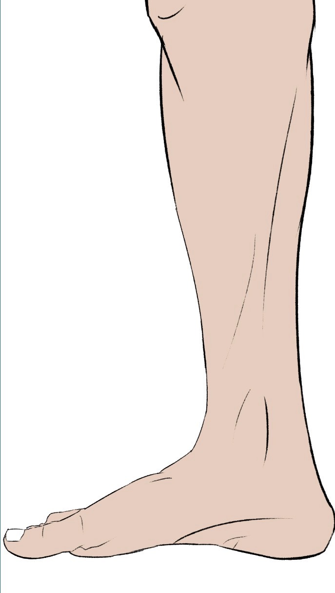 Sample photo for the inside view of the right foot.